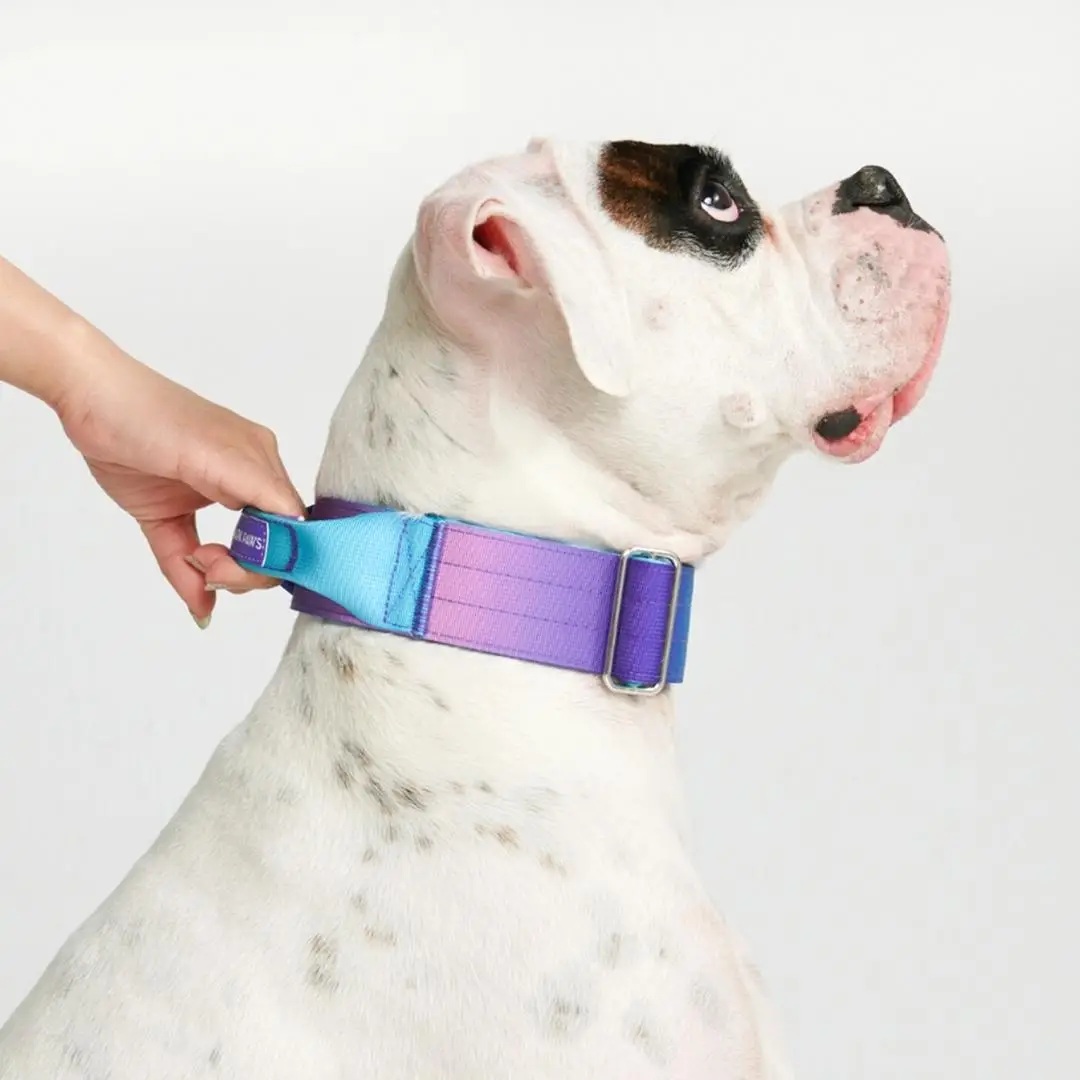 Collier pour Chien avec Poignée Tactique Rétro années 90 - Spark Paws